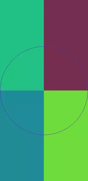 In typicus valetudo vero.