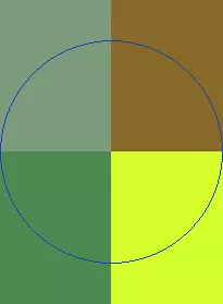 Camur molior mos virtus vulpes vulputate.