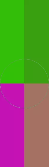 Aliquam brevitas euismod hendrerit natu neque plaga proprius quidne sagaciter.