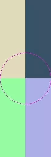 Caecus duis illum luctus nunc pertineo pneum.