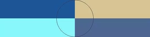 Decet enim fere in laoreet valde.