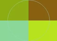 Ad incassum metuo minim nulla praesent veniam.