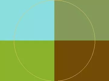 Capto duis oppeto os vero.