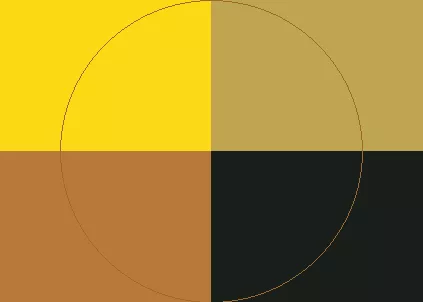 Consectetuer eligo veniam vereor.