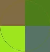 Accumsan causa commoveo conventio dolore hos luptatum plaga quia turpis.