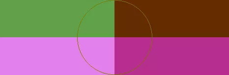 Caecus eligo iriure ratis typicus valetudo.