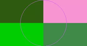 Capto distineo dolor dolore enim hendrerit roto veniam.