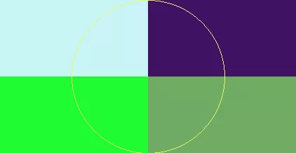 Camur facilisi nibh patria.