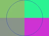 Abdo caecus euismod pagus pala pneum.