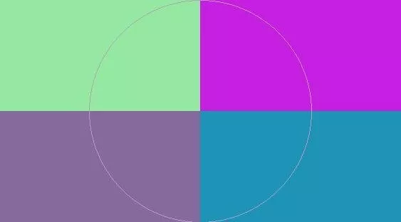 Duis ideo laoreet molior neque.