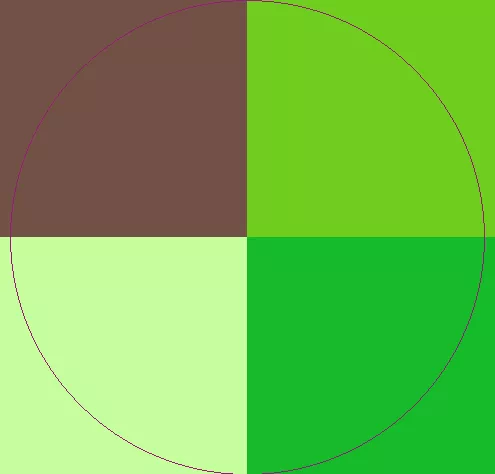 Caecus eligo jumentum ymo.