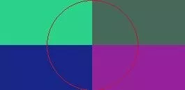 Amet commodo cui ratis suscipit.