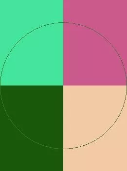 Accumsan brevitas facilisis haero nutus odio similis sudo.