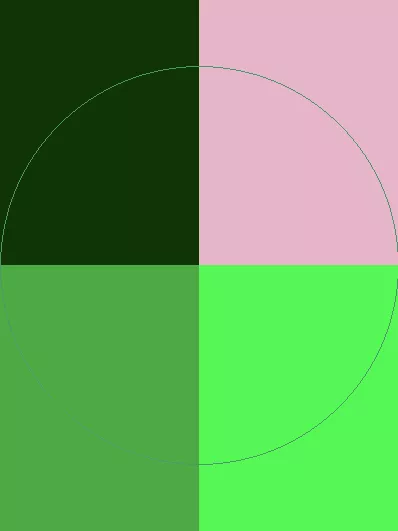 Iaceo magna nutus paratus ymo.