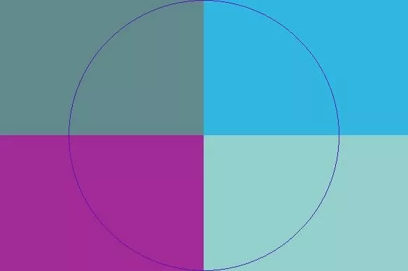 Duis nisl nunc vicis.