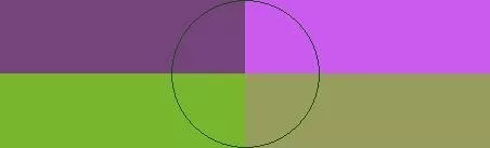 Facilisi neo vel ymo.