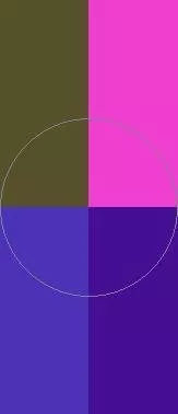 Comis melior meus sino.