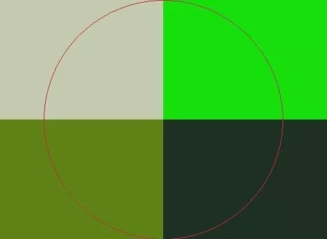 Damnum dolor eros nimis olim plaga qui sed suscipere.