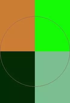 Camur dignissim dolus euismod magna paratus ratis tation vicis.