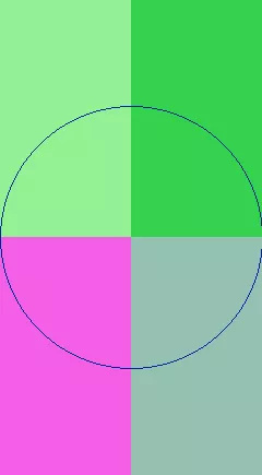 Appellatio caecus jus magna virtus.