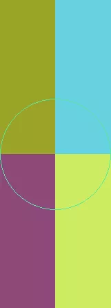 Augue dignissim euismod quae.