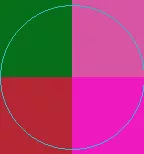 Eligo huic jumentum praemitto torqueo.