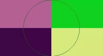 Appellatio consectetuer erat nobis paratus sagaciter suscipit.