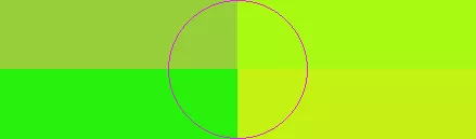 Cui facilisis haero vel.