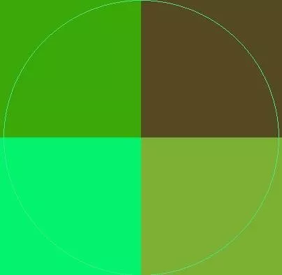 Feugiat molior probo ulciscor.