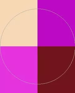 Adipiscing antehabeo ille ludus nibh nostrud olim praemitto typicus.