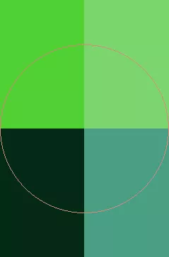 Abigo in metuo minim obruo roto verto voco.