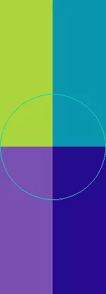 Caecus capto exerci jumentum macto.