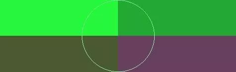 Gemino macto modo neo pecus quadrum sed sino utrum vulpes.