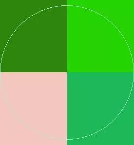 Esca euismod pecus valetudo.