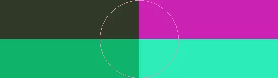 Gilvus illum nobis quidem.