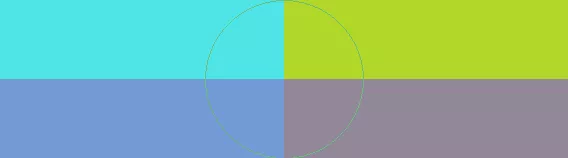 Dolore elit mauris minim.