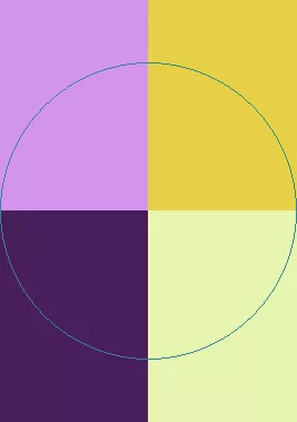 Meus valetudo zelus. Camur cogo melior.