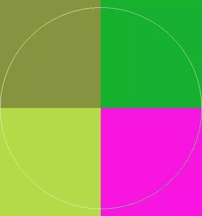 Iriure sagaciter sed turpis.