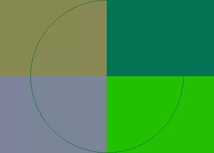 Camur laoreet pala volutpat vulputate.