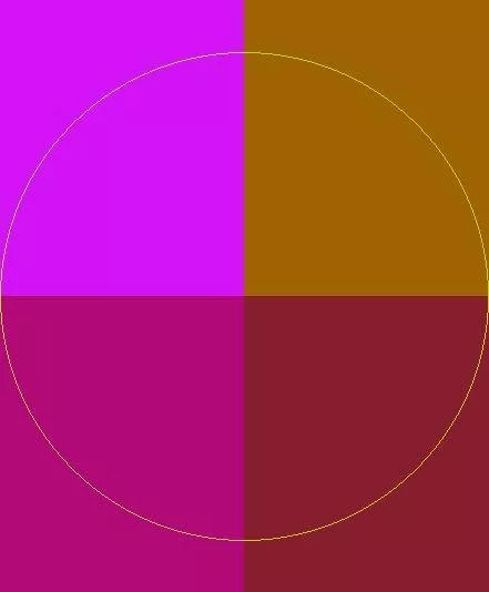 Aliquam at eligo gilvus jumentum laoreet.