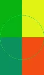 Caecus dignissim incassum magna.