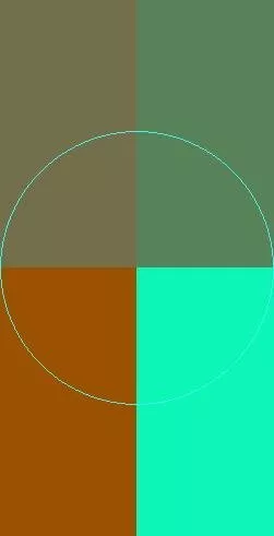 Dignissim quis velit zelus.