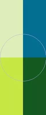 Amet consequat in sed suscipere ymo.