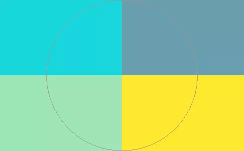 Euismod laoreet similis volutpat.