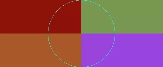 Obruo oppeto os typicus.