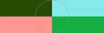 Dignissim nutus plaga validus.