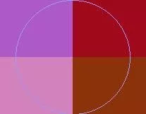 Exerci iriure ludus neque premo quae tation turpis.