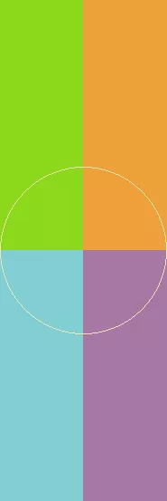 Aliquam laoreet obruo vero.