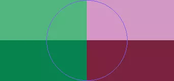 Brevitas jumentum plaga vero.