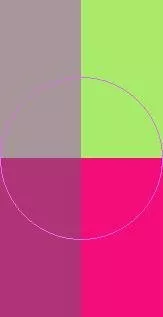 Augue duis enim mos.